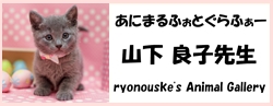 ryonouske's Animal Gallery