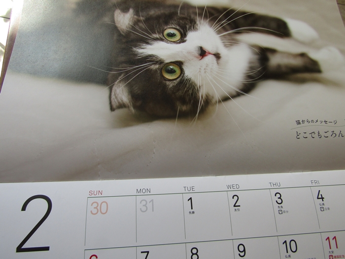 猫の気持ちカレンダー２